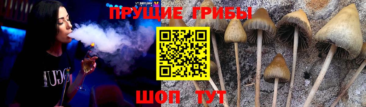 Галлюциногенные грибы прущие грибы  Галлюциногенные грибы Cubensis  Светлоград  Вход с VPN 