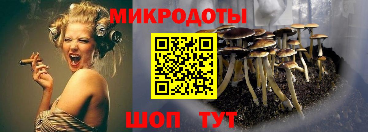 Галлюциногенные грибы прущие грибы Светлоград